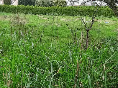 Terrain, 913 m²