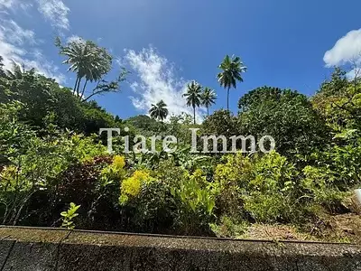 Maison, 74 m²