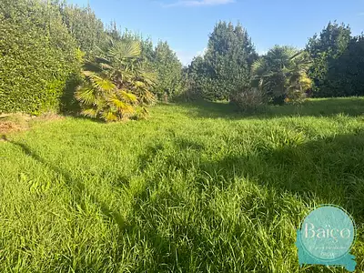 Terrain, 716 m²
