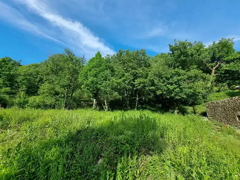 Terrain, 1 460 m²