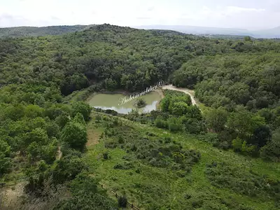 Divers, 443 m²
