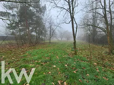 Terrain, 3 113 m²