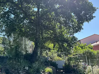 Maison, 127,76 m²