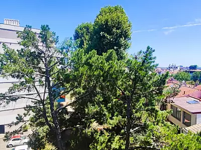 Appartement, 23,33 m²