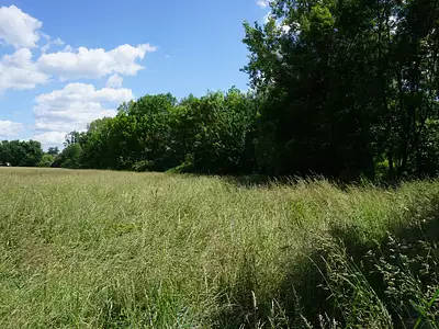 Terrain, 29 140 m²