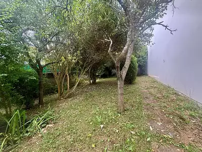 Terrain, 265 m²