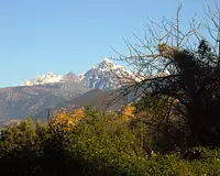 Terrain, 1 630 m²