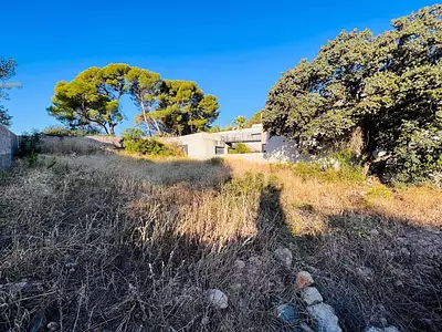 Terrain, 515 m²