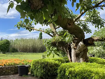 Maison, 332 m²