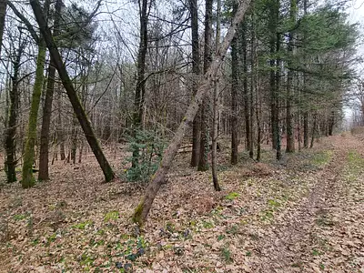 Terrain, 183 820 m²