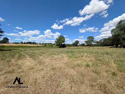 Terrain, 5 000 m²