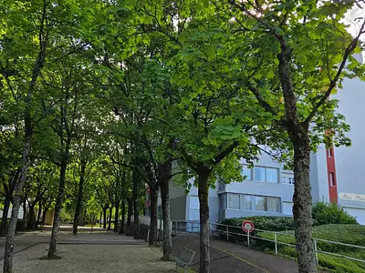 Appartement, 85,62 m²