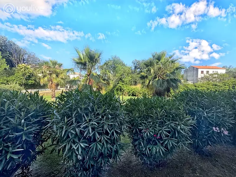 Appartement, 43,79 m²