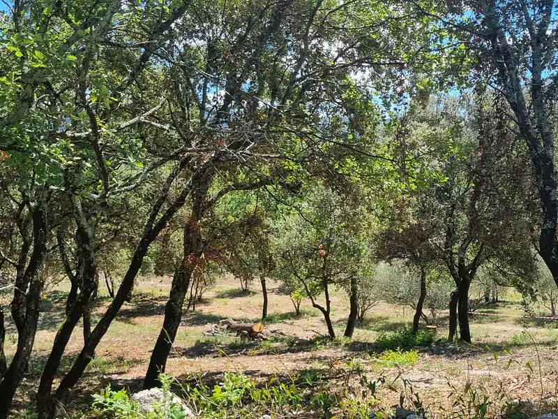Terrain, 1 919 m²