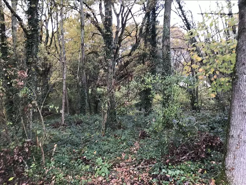 Terrain, 6 513 m²