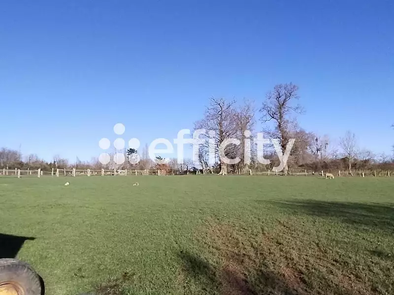 Maison, 210 m²