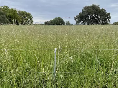 Terrain, 2 431 m²