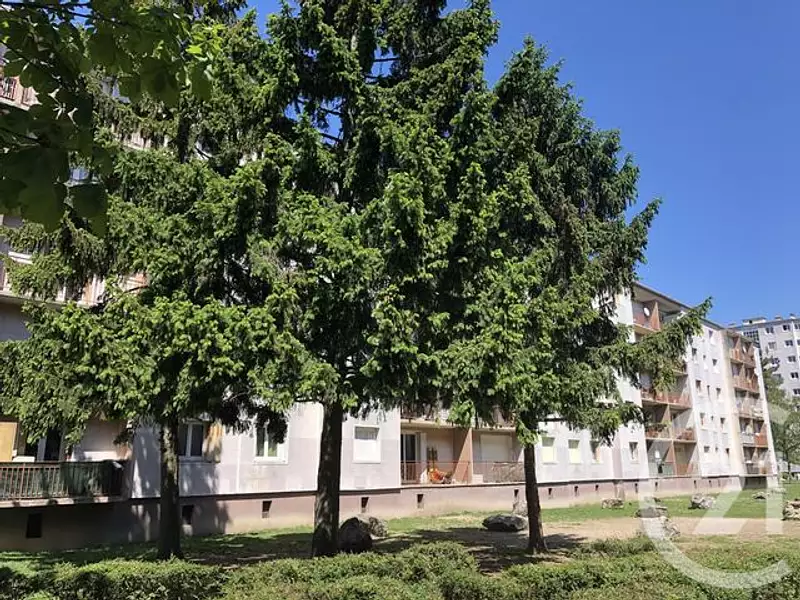 Appartement, 50,3 m²