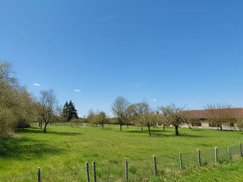 Terrain, 2 130 m²