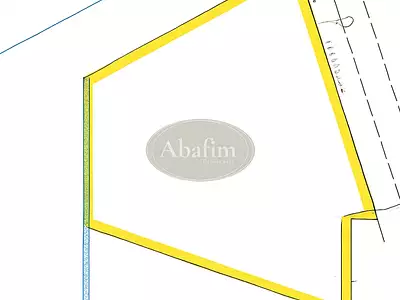 Terrain