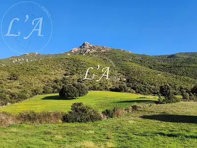 Terrain, 1 500 m²