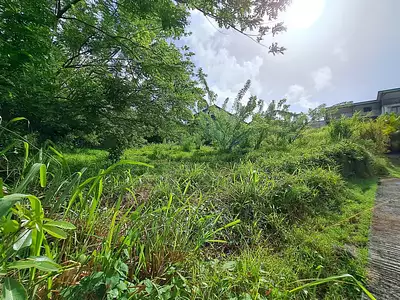 Terrain, 922 m²
