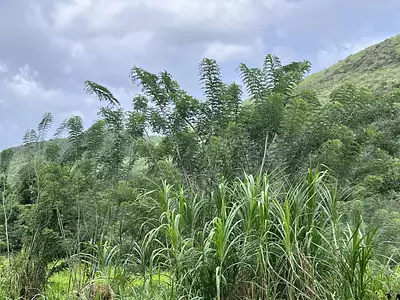 Terrain, 922 m²