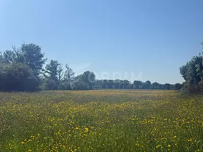 Terrain, 2 560 m²