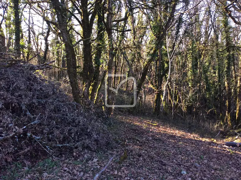 Terrain, 4 159 m²