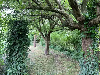 Maison, 93 m²