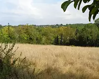 Terrain, 4 911 m²