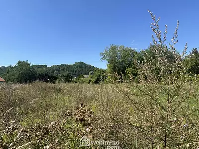 Terrain