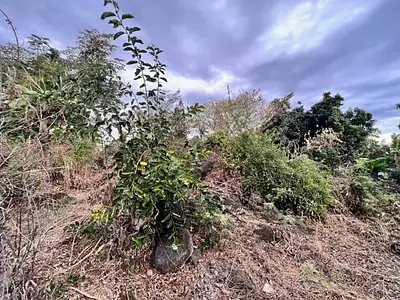 Terrain, 1 323 m²