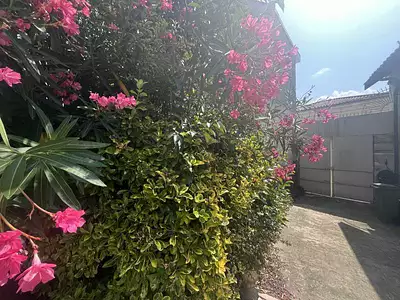 Maison, 85 m²