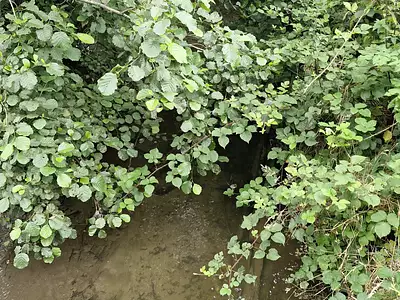 Terrain, 10 461 m²