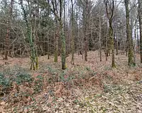 Terrain, 183 820 m²