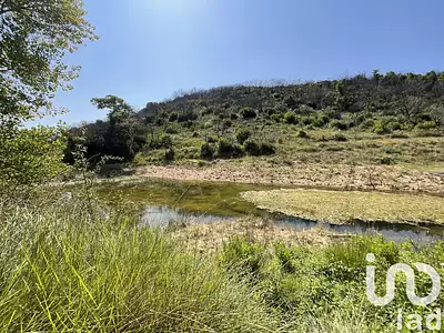 Terrain, 263 365 m²
