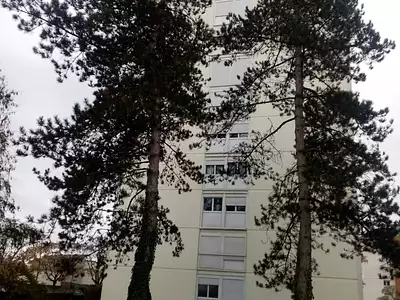 Appartement, 31,91 m²