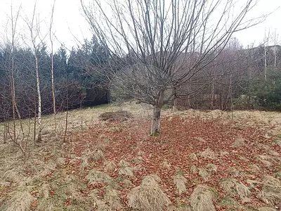 Terrain, 867 m²