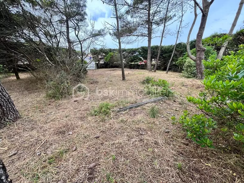 Terrain, 461 m²
