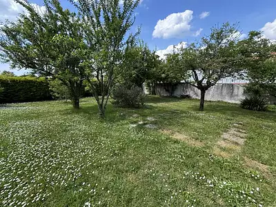 Terrain, 421 m²
