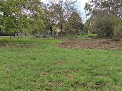 Terrain, 1 345 m²