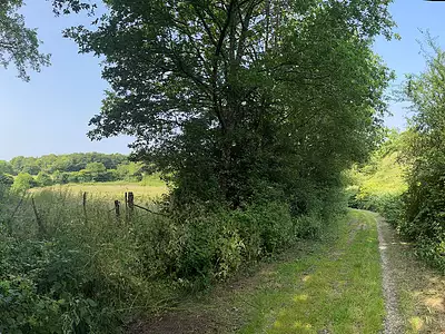 le Clos des Lys (La Paquelais)