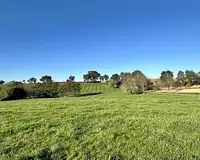 Terrain, 775 m²