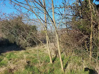 Terrain, 960 m²
