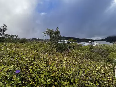 Terrain, 7 682 m²