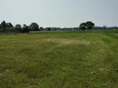 Terrain, 1 323 m²