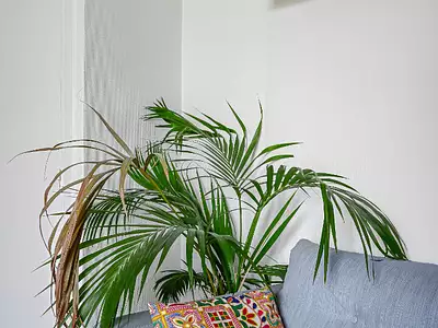Appartement, 34,28 m²