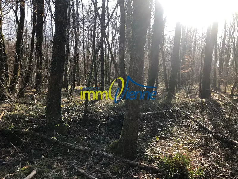 Terrain, 56 600 m²