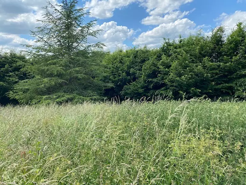 Terrain, 824 m²
